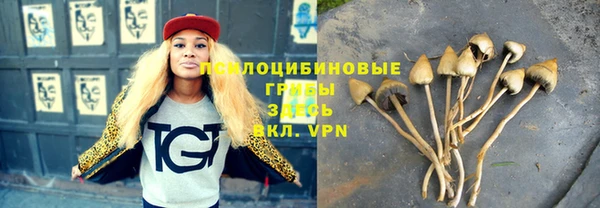 молекула духа Баксан